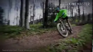 Giant Trance Advanced 2017.
