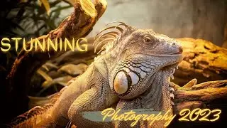 Stunning Photography Samples | Aditya S Photography