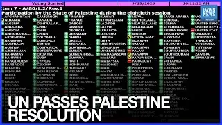 UN General Assembly Adopts Draft Resolution on Palestine&rsquo;s Participation in 80th Session