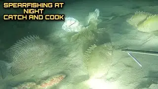 Night Spearfishing Hunting Fresh Seafoods Catch and Cook Palawan Philippines EP 4