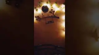 fairy light wall decor 😍#fairylight #walldecor #interiordesign #trending #shorts#naturephotography