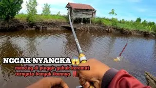 mancing kakap putih pakai pelampung umpan udang hidup