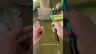Countryside Fishing Lifestyle  Village Survival & Outdoor Living