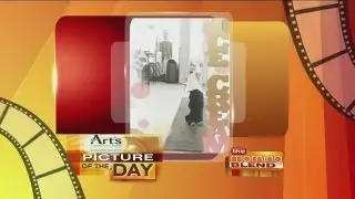 Art's Camera's Plus Picture of the Day!