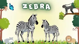 Zebra Introduction | Educational Videos For Kids | Animal Names