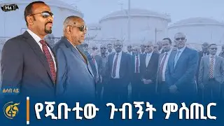 የአፍሪካ ቀንድ ትኩሳትና የጠ/ሚኒስትሩ የጂቡቲ ጉብኝት ምስጢሮች Red Sea| Horn of Africa| Ethiopia access to Sea #ሐሳብላይ ክፍል1
