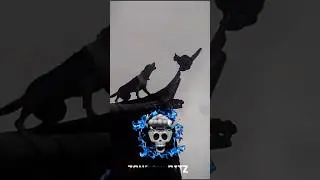 Kung fu cat | ninja cat..🥷💀🗿#cat #trollfaceedit #kungfucat #shorts
