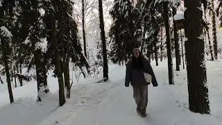 2026 01 01 ПРОГУЛКА ПО ЛЕСУ 4К