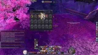 Aion 5.0 Assassin Skill enchantment test (Notaion)