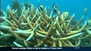 Coral Reef meeting held in Far North Qld