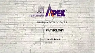 Building Pathology