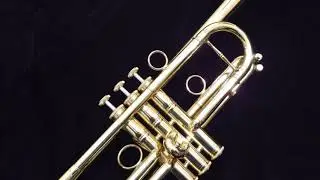 Tenderly - trio played by Heather DeMille