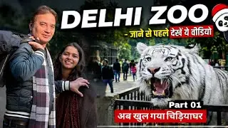 Delhi Zoo Entry, Ticket Price & First Impression 😍 | Vlog Part 1 #delhi #zoo