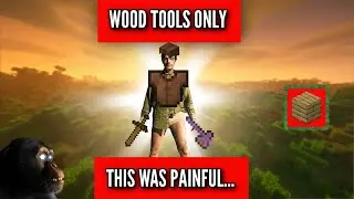Can I Beat Minecraft With Only Wooden Tools?