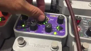 geek in the pink bass tone making