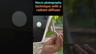 Macro photography technique with a radiant diffuser #shorts