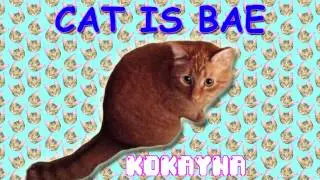 KOKAYNA - CAT IS BAE