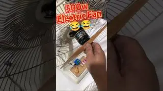 Do you like this 500W RC geek's electric Fan 😂😂#rcmodel #electronics #diy #funnyvideo