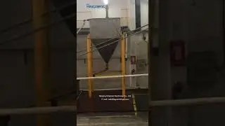 salt line Kingreat
