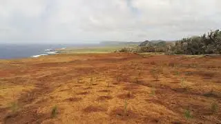 selecci&oacute;n Poike