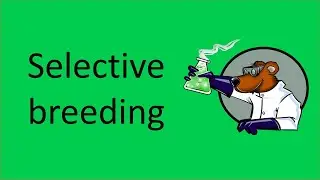 Selective breeding