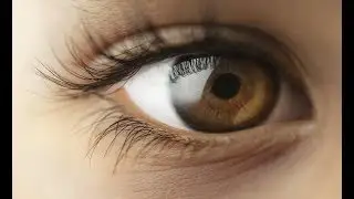 &iquest;Que tanto ve el ojo humano? | Documental