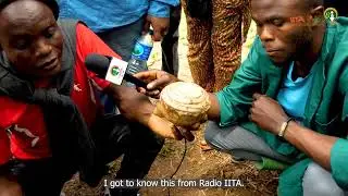 Transforming Lives: Peace David's Journey with Farmers Outreach