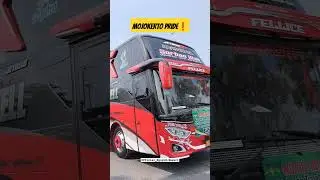 Basuri V3 Bus Giofell 