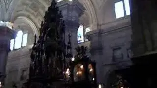 octava corpus ja&eacute;n 2008