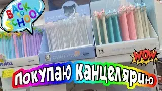 Back To School 2019 / Влог Покупаю канцелярию в школу / Вместе с Машей