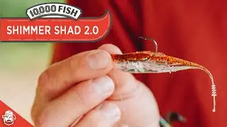 In-Depth Look at the NEW 10,000 Fish Shimmer Shad 2.0!