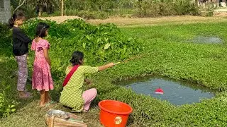 Fishing Video || The cute girl caught a lot of fish from the field water supply canal | Hook fishing