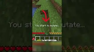 Не Трогай Этот Амулет в Minecraft #майнкрафт