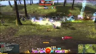 Shatter Cat Dmg&Support
