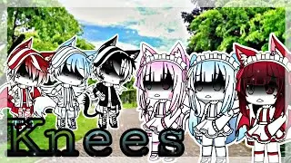GLMV//Knees Nightcore//Gacha Life Việt Nam