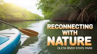 This Hidden Mangrove Paddleboard Trail is Pure Magic