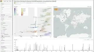 Animation Map Flu tracking of spread of influenza A/H3N2 evolution by J. Lee/R. Neher/T. Bedford