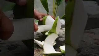 fantastic and satisfying, coconut peeling
