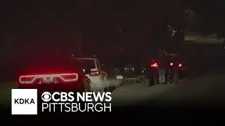 Troopers shoot, kill Indiana County man who opened fire on them, police say