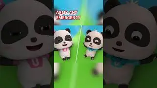 Army Ants to the Rescue! | Kiddly Presents: Epic Bug Adventure for Kids! #BabyBus #KidsVideo😍