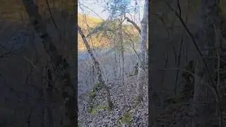 Hiking Down An Ozark Mountain In Winter #hiking #crunchingsounds #trekking #nature #shorts #asmr
