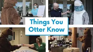 Things You Otter Know