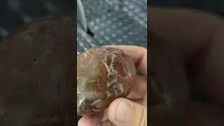 Cutting Beach Jasper  #rockhound #minerals #rockhounds #mineral #oregon #jasper