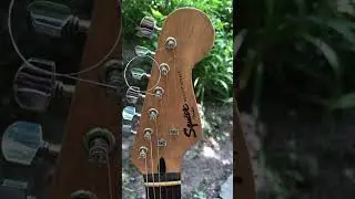 Squier Bullet Stratocaster.