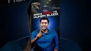 Snake Venom Vs Human Blood