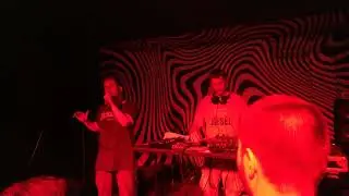 Порез на собаке - 12. Syndrome bar. 05.08.2022