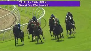 As You Were trials at Warwick Farm