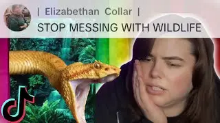 LEAVE WILDLIFE ALONE - Vet Tech REACTS to people messing with WILDLIFE