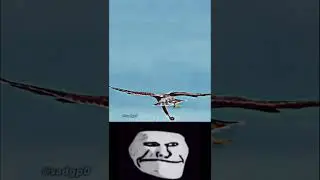 Peregrine Falcon attacks bird .#youtubeshorts #youtube #falcons #sky #fast