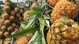 21,823,গারোর বাজার মধুপুর টাঙ্গাইল দরদাম সম্পর্কে জেনে নিন বিস্তারিত